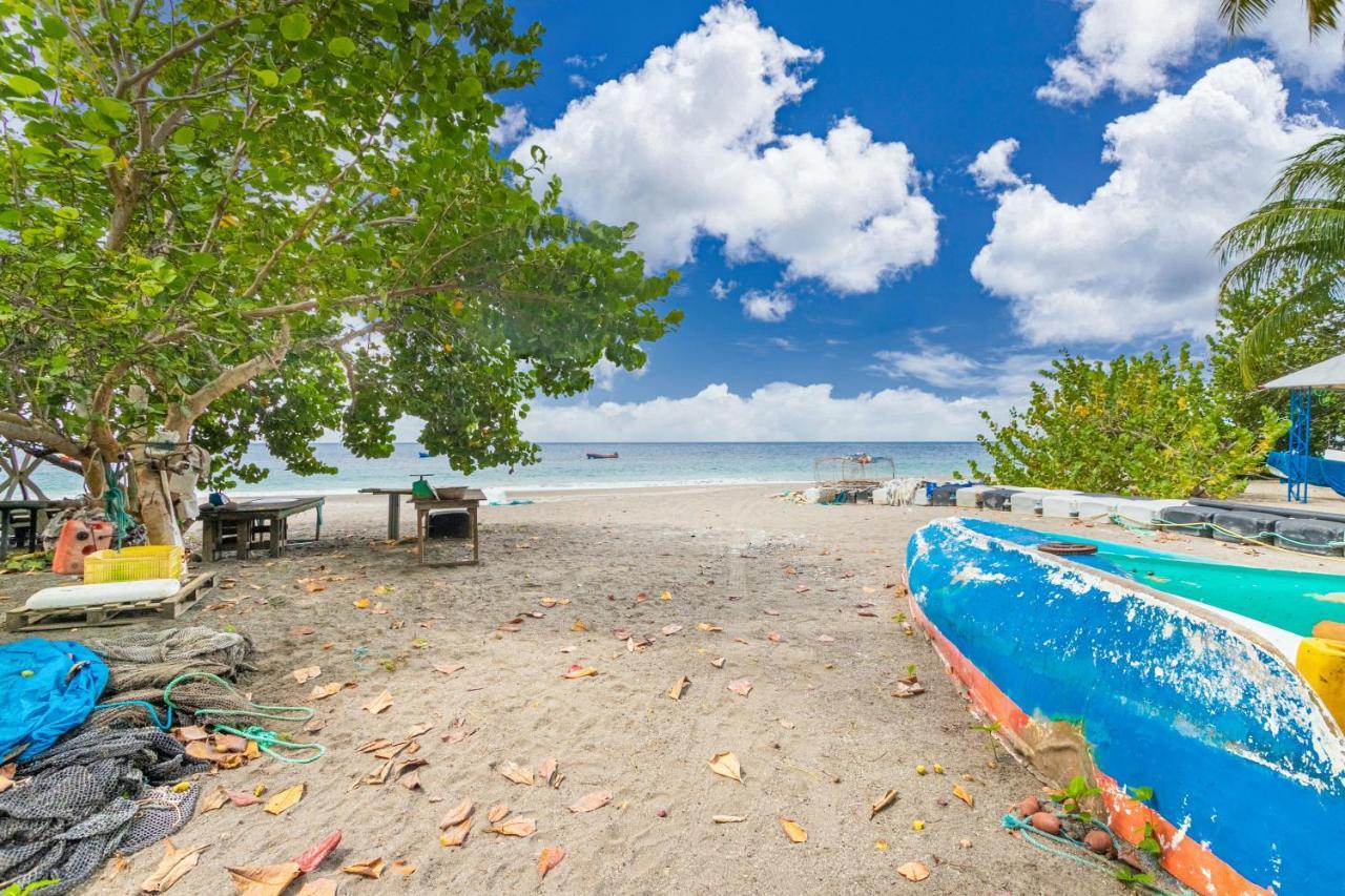 Appartement Charmant Au Carbet Avec Vue Sur La Mer 50 M² Le Carbet Exteriör bild